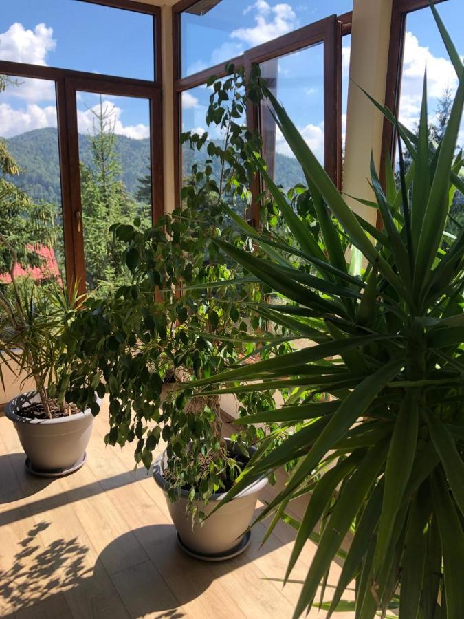 Genco Hotel Mountain View Предеал Екстериор снимка