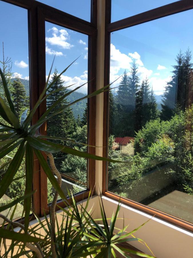 Genco Hotel Mountain View Предеал Екстериор снимка