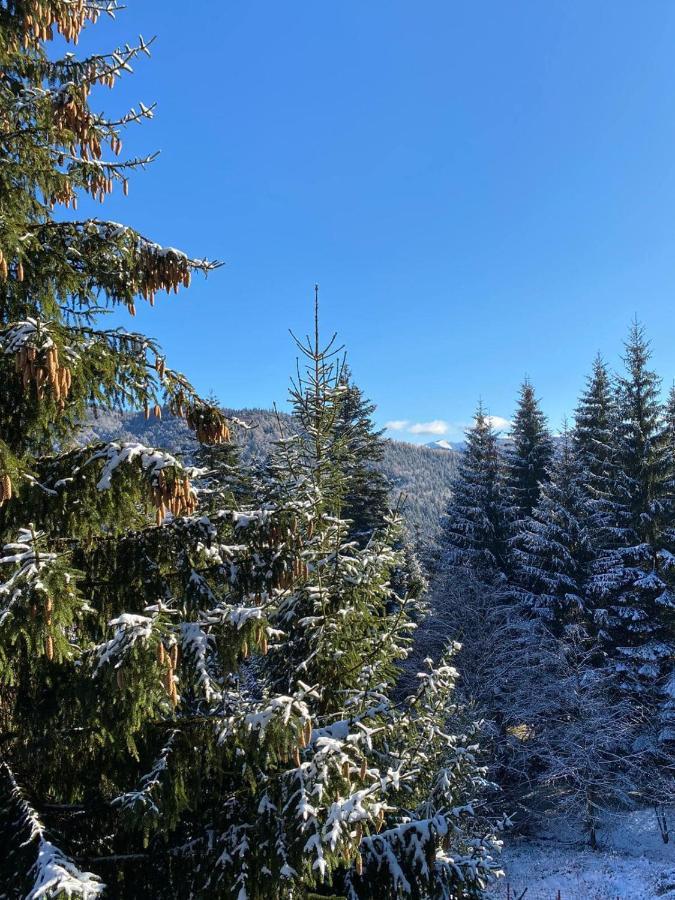 Genco Hotel Mountain View Предеал Екстериор снимка