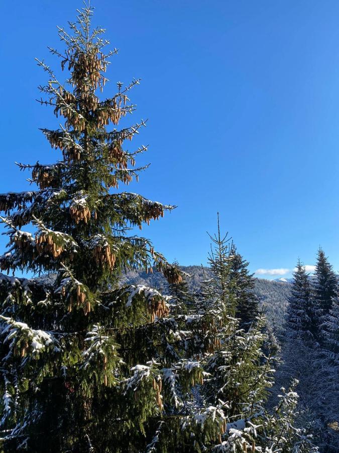 Genco Hotel Mountain View Предеал Екстериор снимка