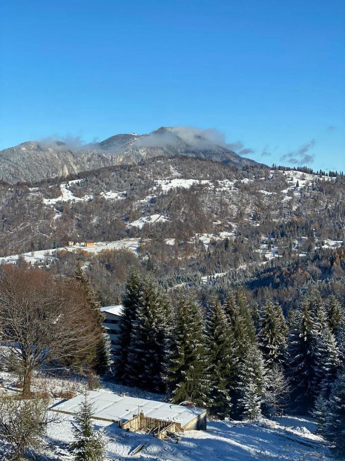 Genco Hotel Mountain View Предеал Екстериор снимка